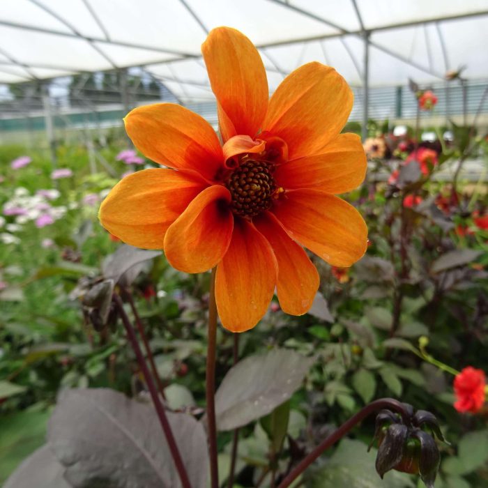 f453526d-8a54-4b61-9c1b-026f69347baa