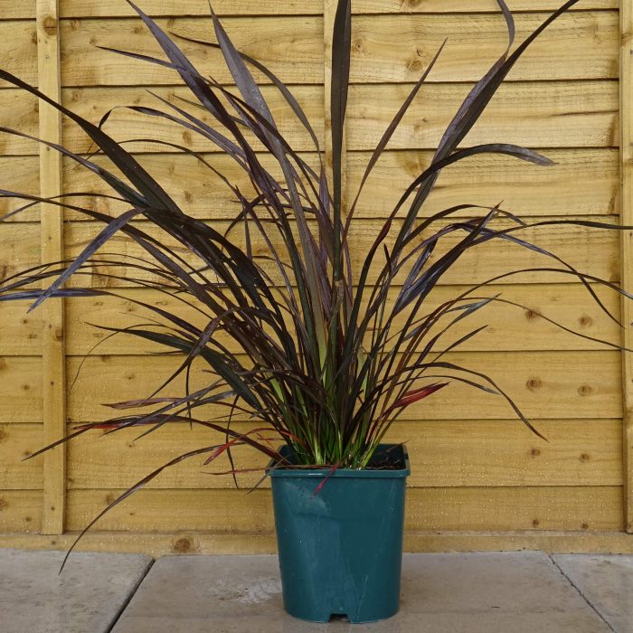 3d531d39-974a-4015-892c-2a7b7b009a0e