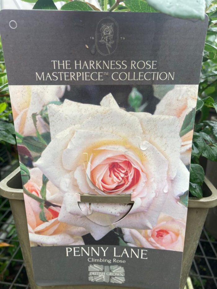 8914b0e4-c9e3-46c5-8faa-535e1d92990c