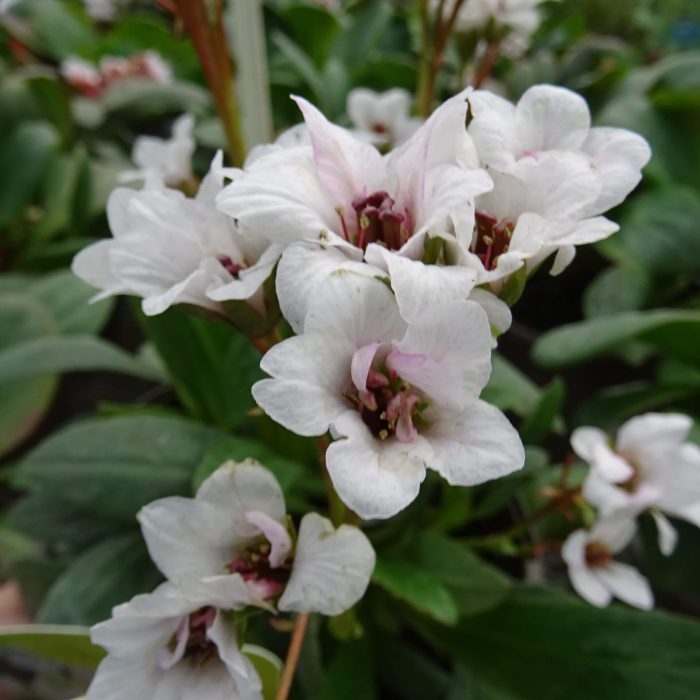 e6ee16f2278a6fcde345fa849f2d4708.jpg 8cac757a-9e18-4ab7-900f-188368176daf