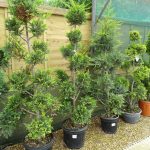 3982deb5-093c-4e11-a9ae-4904af968b82