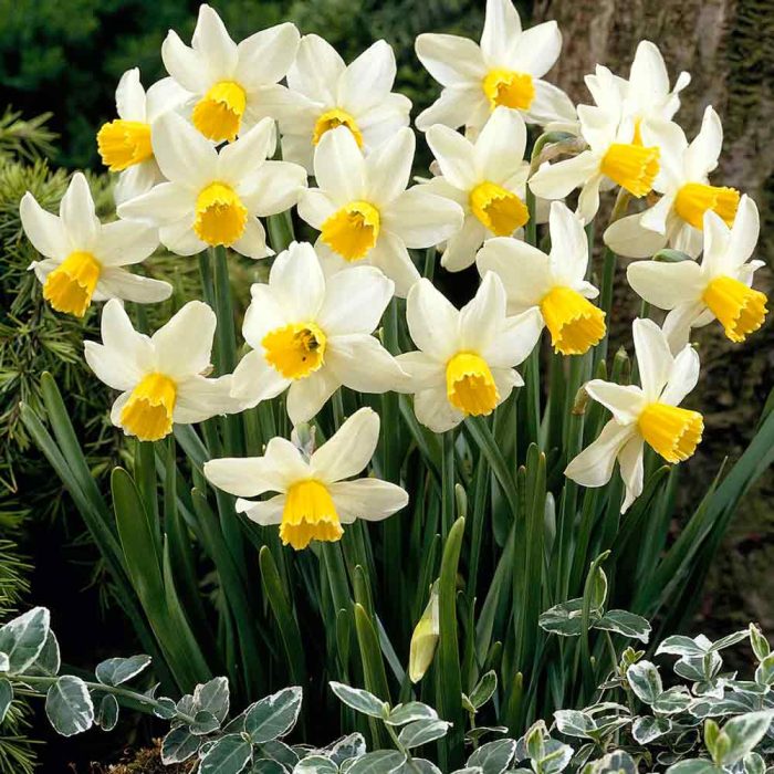 e779950382065b88f58fa86d8b00a3a3.jpg 1b72f0c9-e9ba-4804-80f4-28a03674e5f9