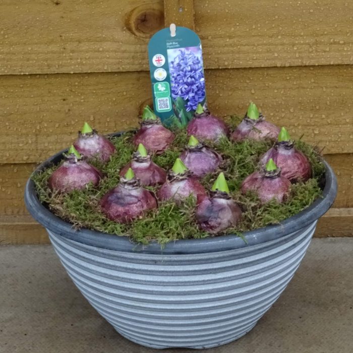 3c4a664e-f77c-417c-aa58-003b38b529cc