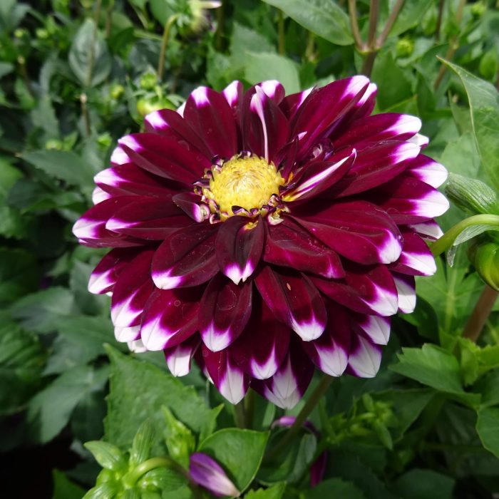 b9d15eb7-02a3-4902-b7d3-bffe97ae2c84