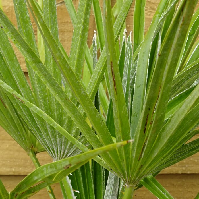 bc4c0c22-0440-40f3-85eb-cfa48b24aa2c