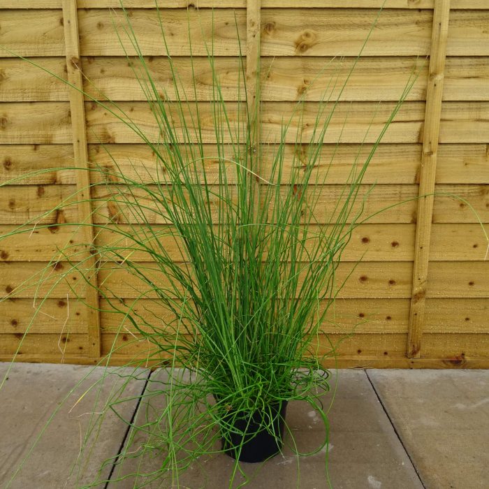 298419d8-8a72-4d79-90ad-f410eeb5252d