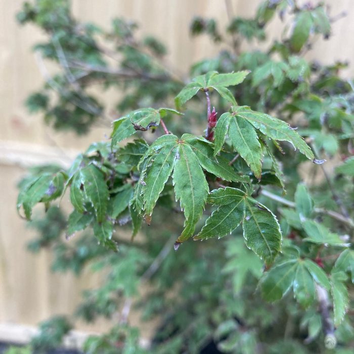 e8b89ddf28dbac327d33647ea2c67dc6.jpg f69610c4-e799-4ddb-944a-7173414a87b1