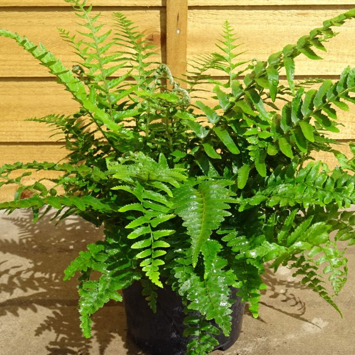 c80ba0dc-a555-4186-a475-e18f57479271