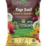 7719acf8-9efd-4519-8ded-fed316316e06