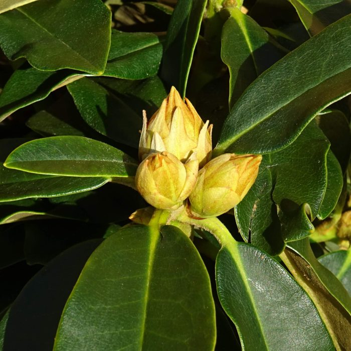 e9363ac491ff6caac1ce85fca1ab6b6b.jpg 3399112c-8cce-4262-b8a4-1e0410934e15