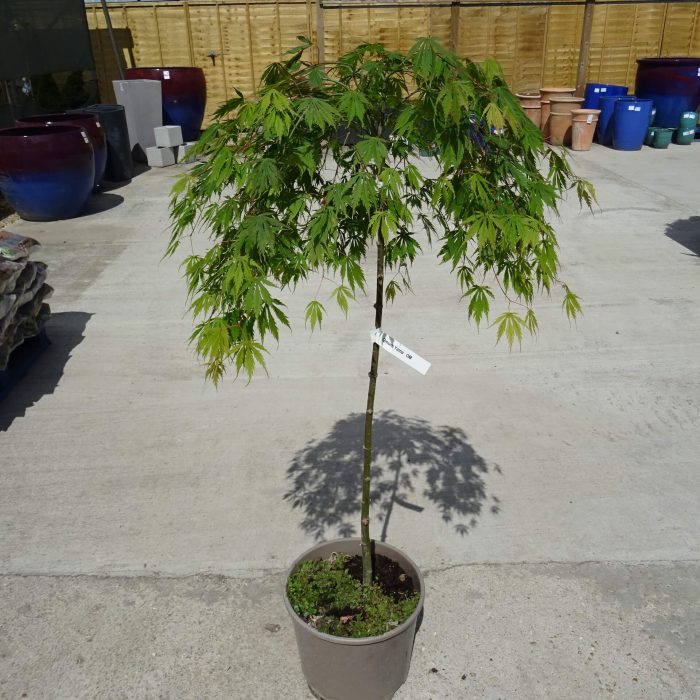 361bece1-bfb3-4419-94af-fb742d52db02