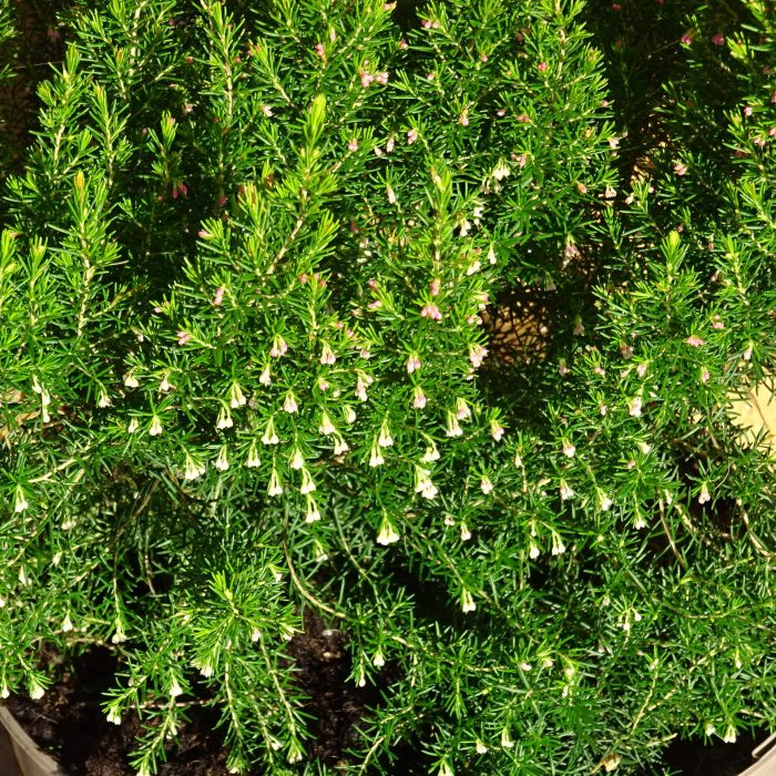 7b7fea23-87f3-4d09-9bcf-4355e75381d6