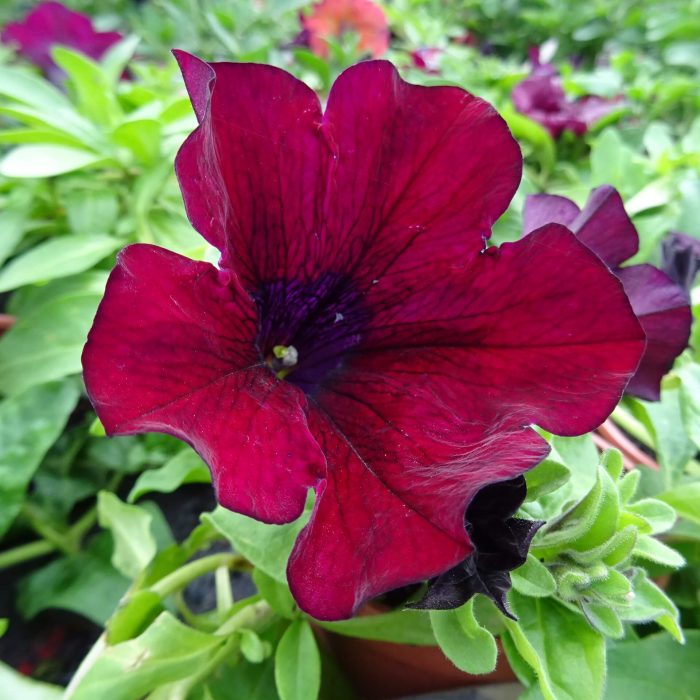 c4048f58-ec96-4984-8e44-3f22515c7c9f