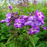 c04add64-e23b-4a47-b44f-d4f85633874b