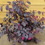 03563f67-b2d7-423e-91e9-df6a6c0b0c4d