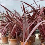 10355413-fea0-47de-81de-93731f6b2259