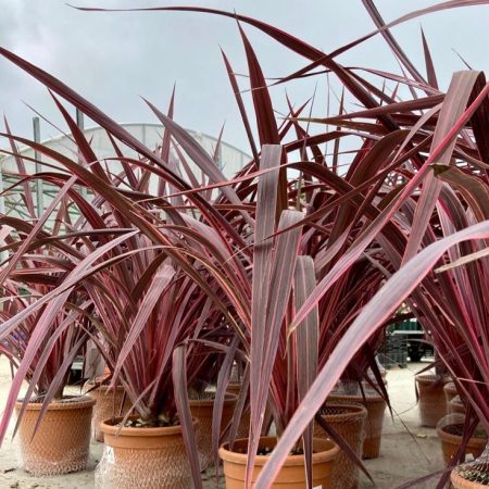 10355413-fea0-47de-81de-93731f6b2259