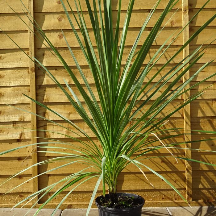 eaebe29297aa98c39e549206975ffa5c.jpg 1b1c99b6-cf08-4c93-a19b-5b9539ed71ec