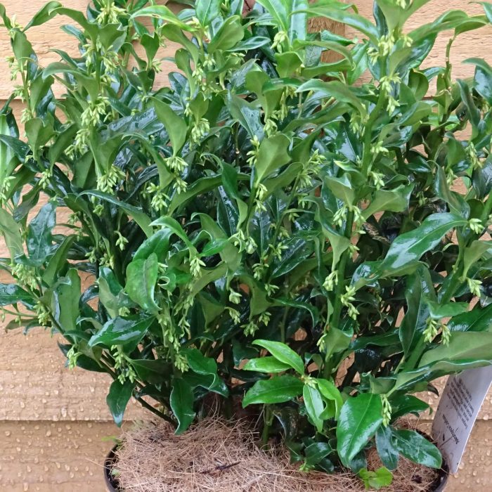 ec06e9aa-4adf-4c80-a18c-31bd8ed72629