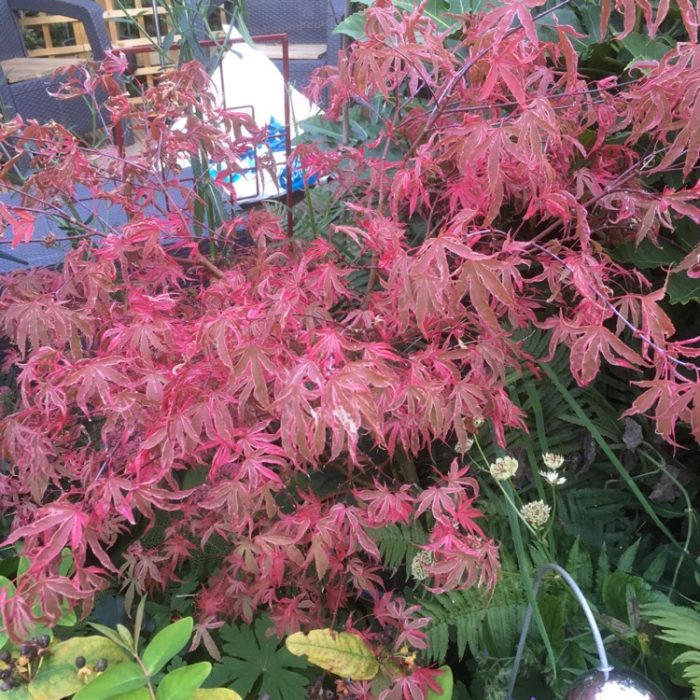 aa58a718-2247-498e-bd6e-70de9ce69959