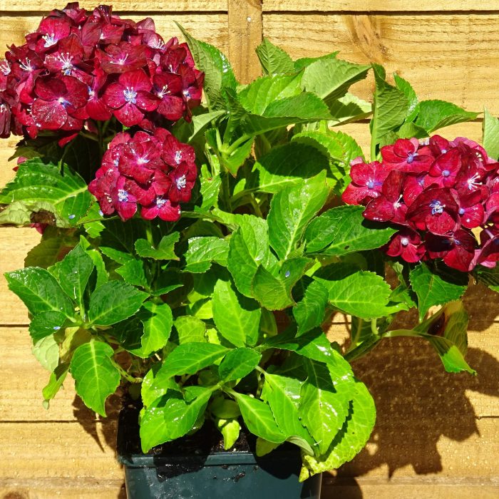 eb1a357f186f25a50dfc9155bff8cc90.jpg 0d52a1f0-1734-4cd8-b9a4-9a48fb17f5f1