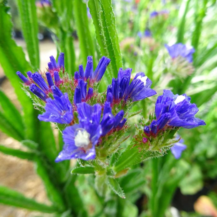 bf176b20-a61d-41d4-bb72-e0cdb7efd728