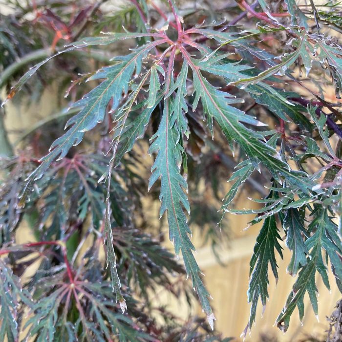 eb7e16db1fa8c7d7551caed0a3fe2154.jpg 37a18e92-20e5-4992-ace3-65a66fa7abf4