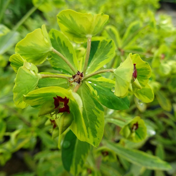 ebc6f3f36a1af494e46864c425d4d4ac.jpg 64559718-9022-49d8-8696-533e44009181