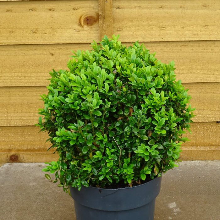 6f7f4044-0094-446c-90cf-62e1cac9842d