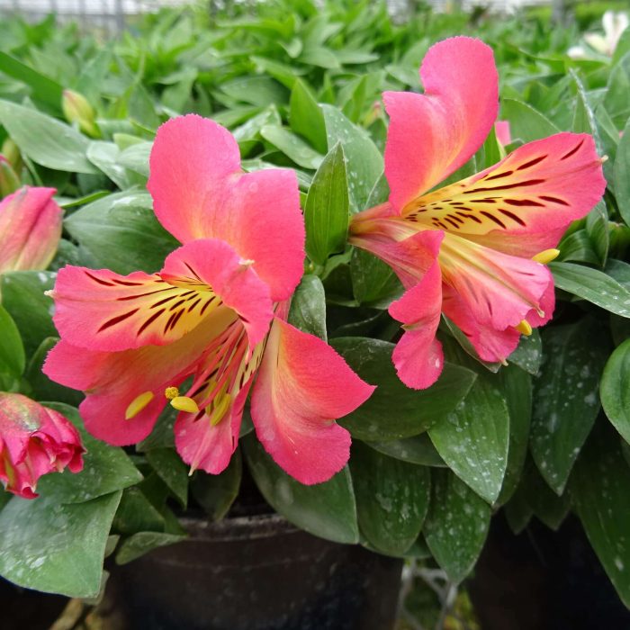 db1e0fb8-32e1-48fc-8540-ac070bce482f