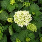 ec66b2b9-be5f-42b1-ae75-7109db3fce64