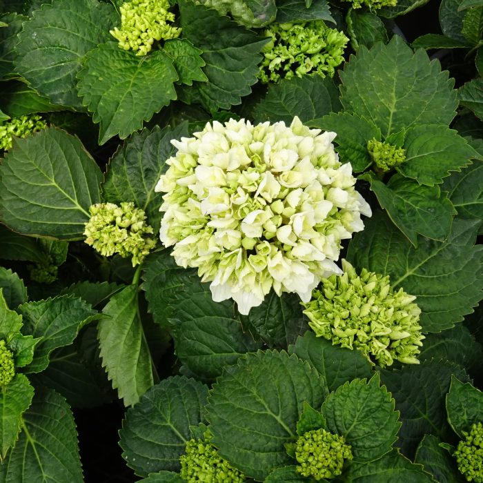 ec66b2b9-be5f-42b1-ae75-7109db3fce64