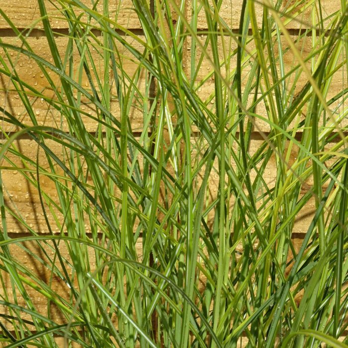 edbdc084747a652df0e4b92d17a7878e.jpg 5571d63d-ad6b-4ace-926f-3eb9832e0ee9