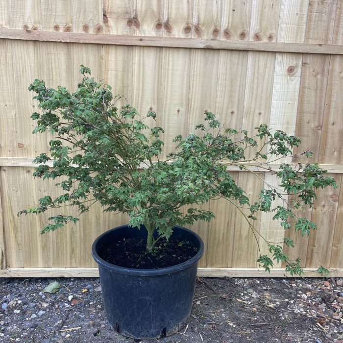 edc31137b1d5bae5b6e45ce86bcb0d72.jpg 1d31b21c-39f3-447f-b947-1f6c9f9a415a