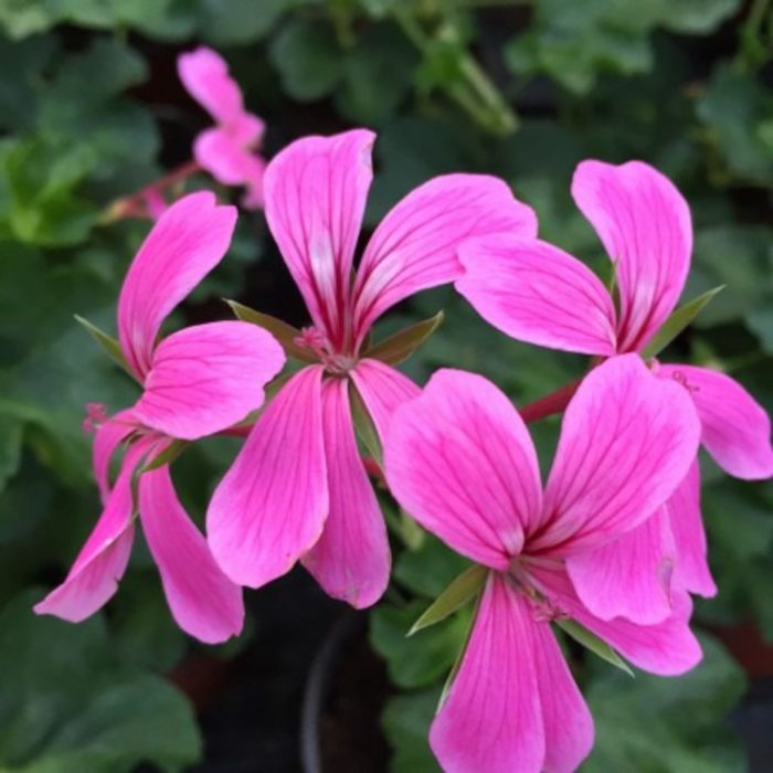 dd2c62a7-628c-4d7c-b7ba-d4fd42ea2ac0