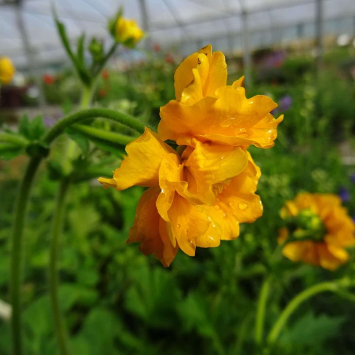 f05819d9-0644-4e61-8a39-2fc41d231e28