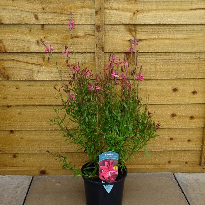 a28f9672-835d-445f-bd4d-081d52938615