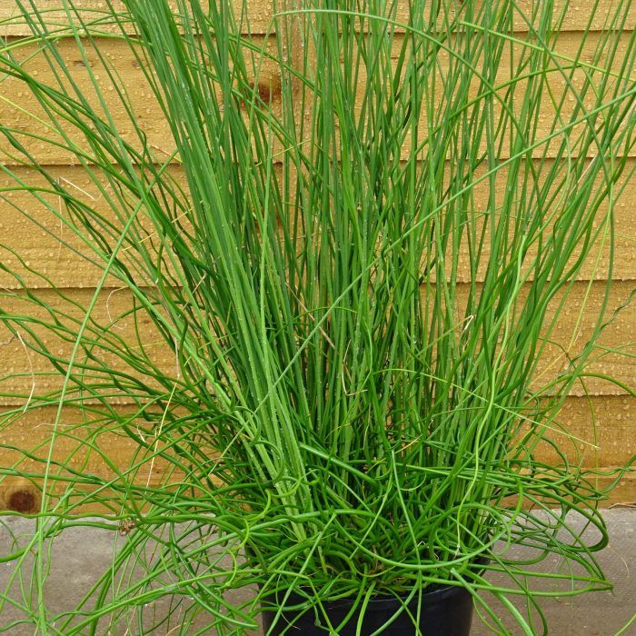 e9f60682-dbfe-45eb-a170-bb01366b9d26