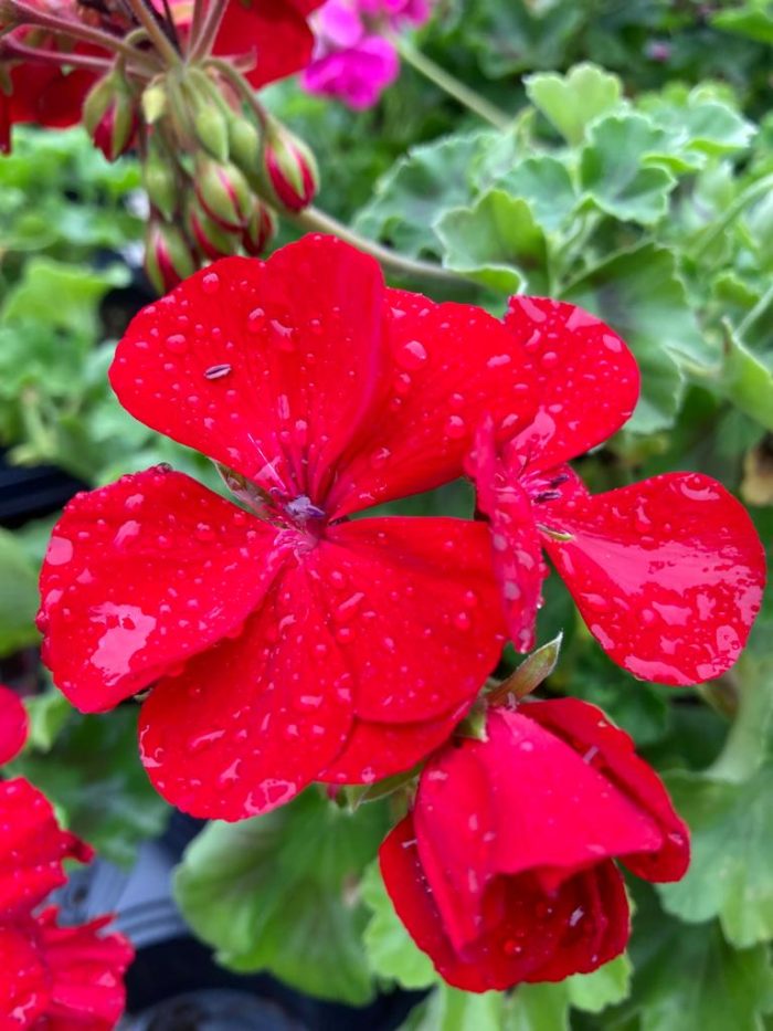 9bfdbe6a-9d23-4a3d-9256-f344b6891e5e