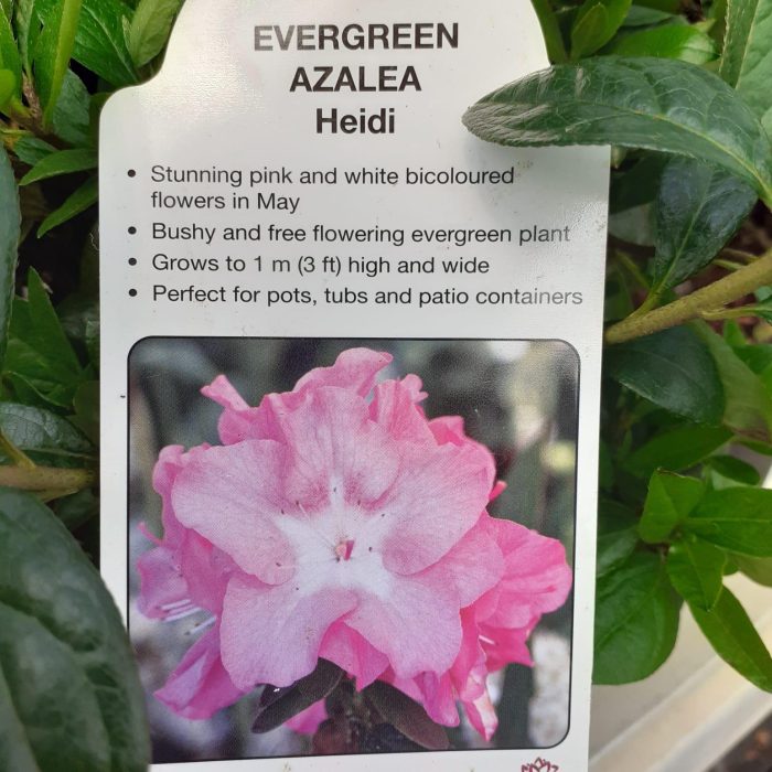 d3a6f62a-4a2c-464a-a5fc-65a8ed01559e