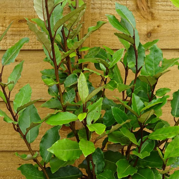 e03040c2-28ec-444f-98f1-37a7ff4fdf90