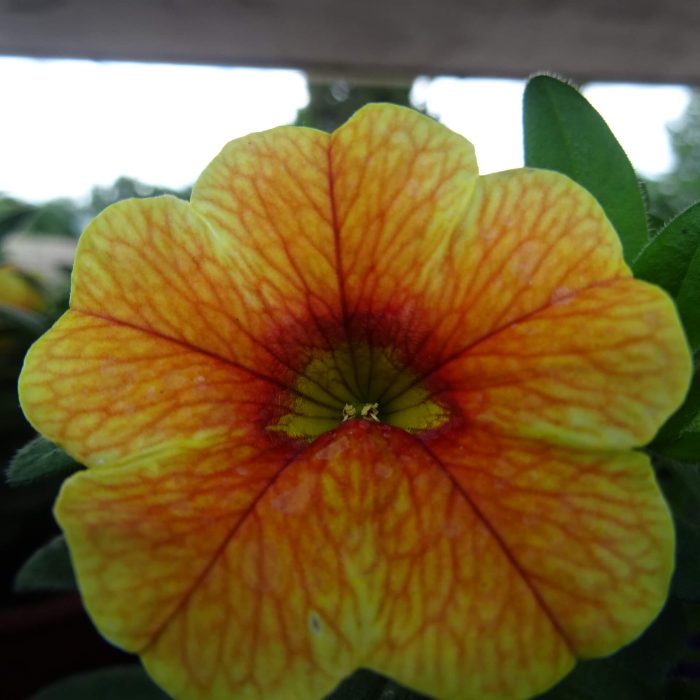 e6cf977b-2ba6-4398-9a63-95a90577efb8