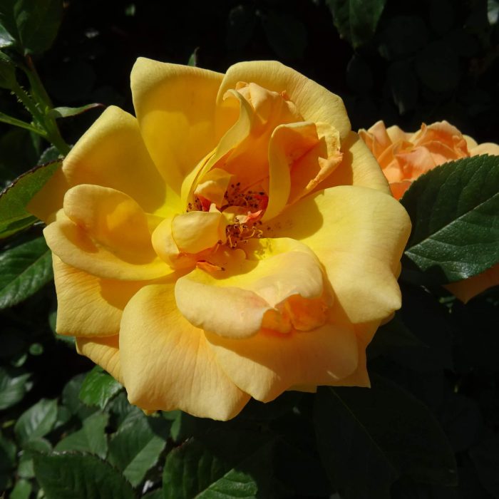 c8c0184b-09cd-4ca3-a5c2-5c471cddef44