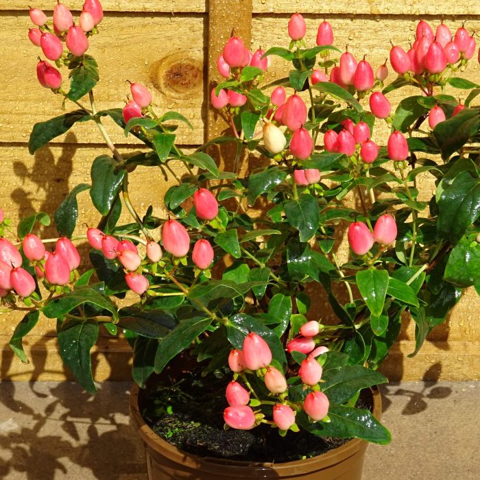 1e33f76b-a879-404f-a242-20b47ba4a785