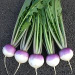 61b3dbf0-b3d3-42ec-9ffd-da16ec0572d4