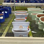 27587fde-72fb-4617-80e5-5d93cb8f3c47