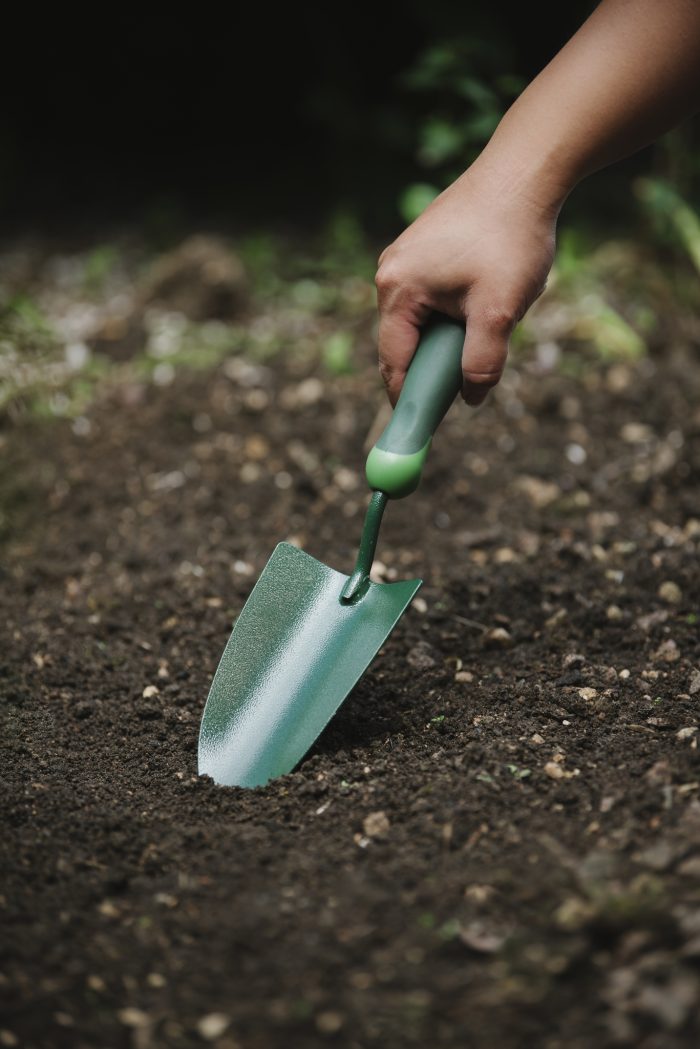 f225e07d343dce460d4174fdbc98d6c7.jpg d5c11673-b3de-463f-9306-1b23631adb04