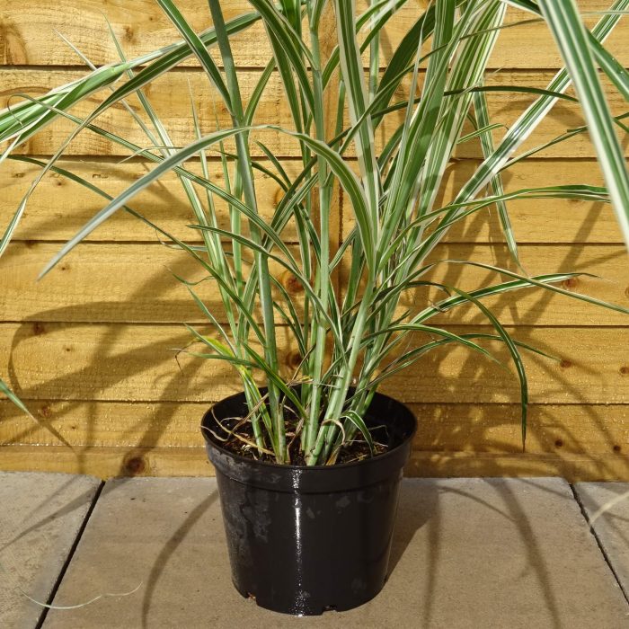 08599f1e-e749-4c40-a97e-204d02b4b549