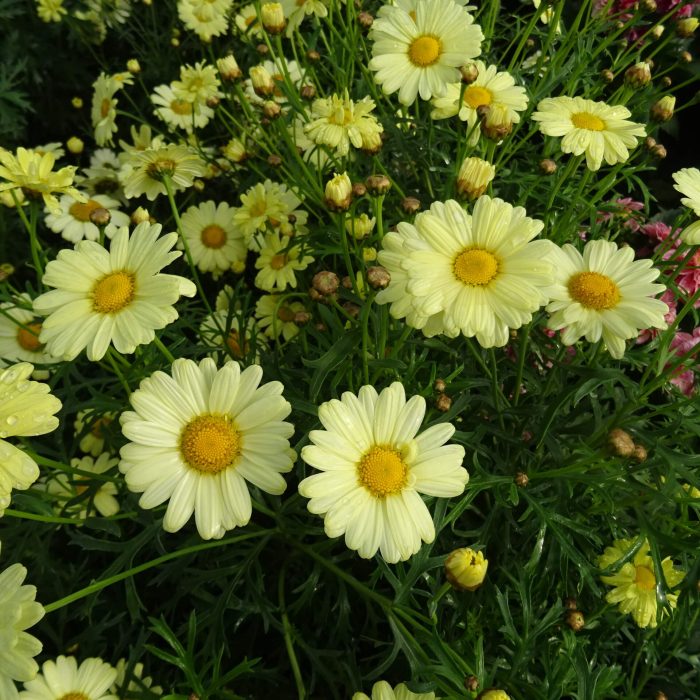 b988d1a2-161c-4831-9579-c23bad8716f1