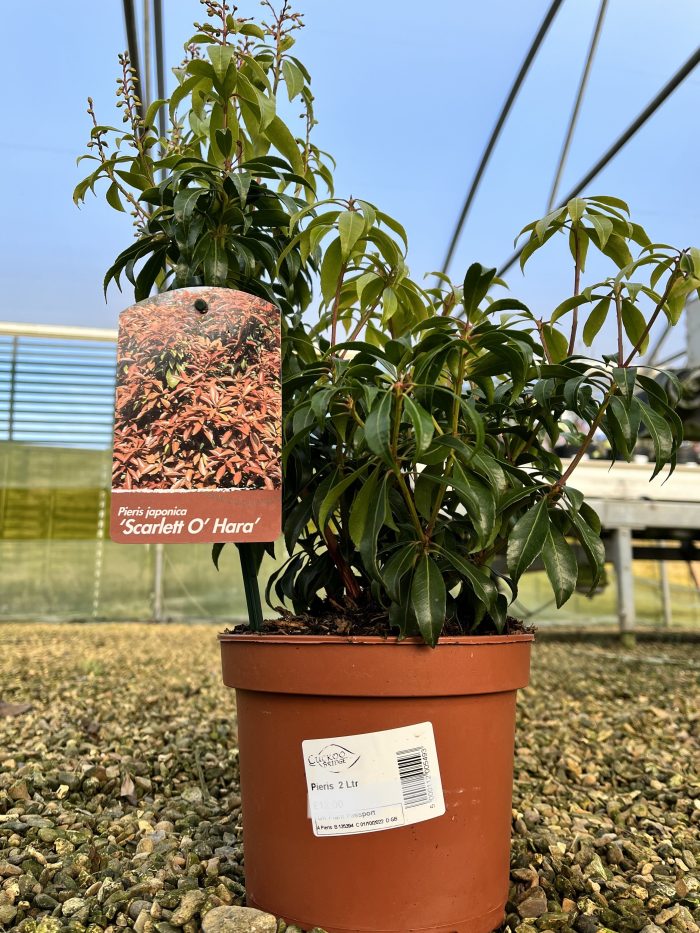 3de5c401-4d58-4c15-8a91-fe9fc008ca4e